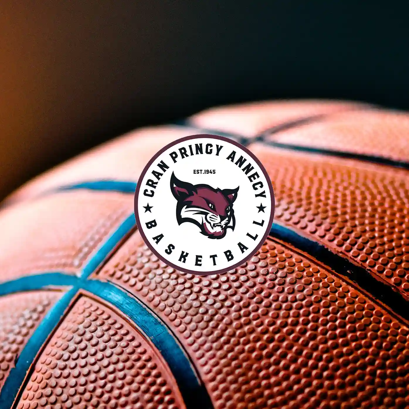 Création Site Internet Cran Pringy Basket